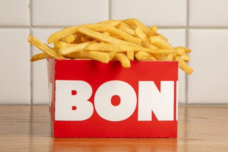 Plain Fries